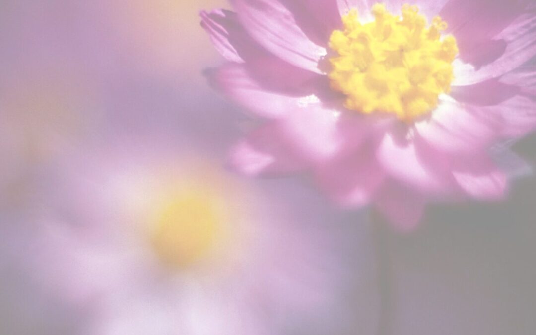 The Soul-Enriching Power of Gardening
