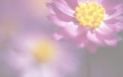 The Soul-Enriching Power of Gardening