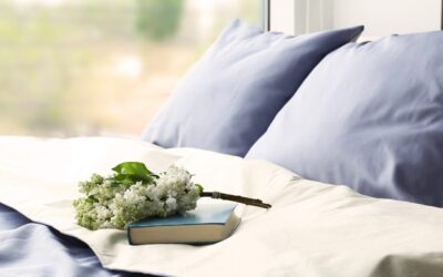 Red Land Cotton –  From Southern Soil to Softest Thread